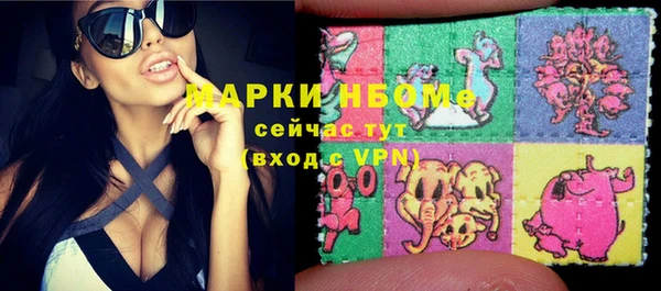 гашик Нефтекумск