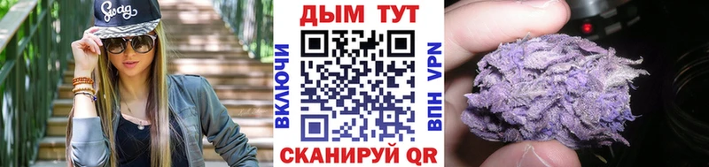 сколько стоит  Фатеж  Каннабис сатива 